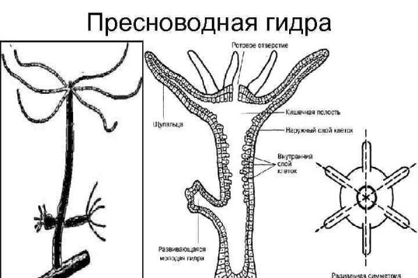 Лсд цена