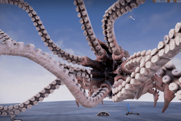 Kraken onion link